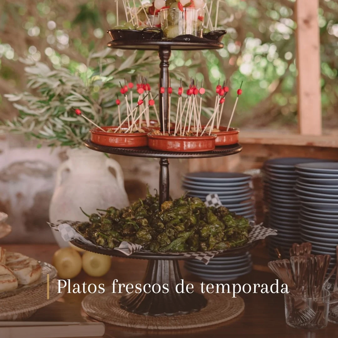 Safata de tres pisos amb pinxos i pebrots fregits en un aperitiu exterior